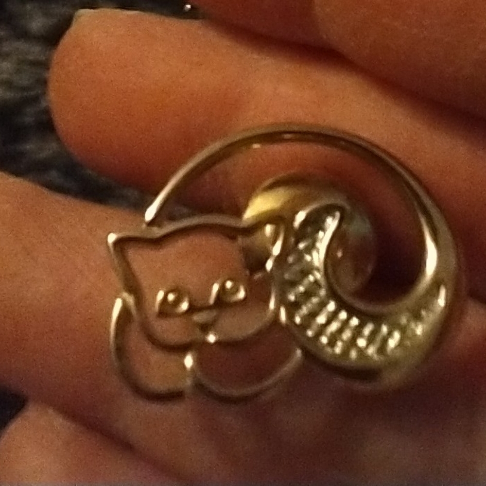 Vintage cat pin